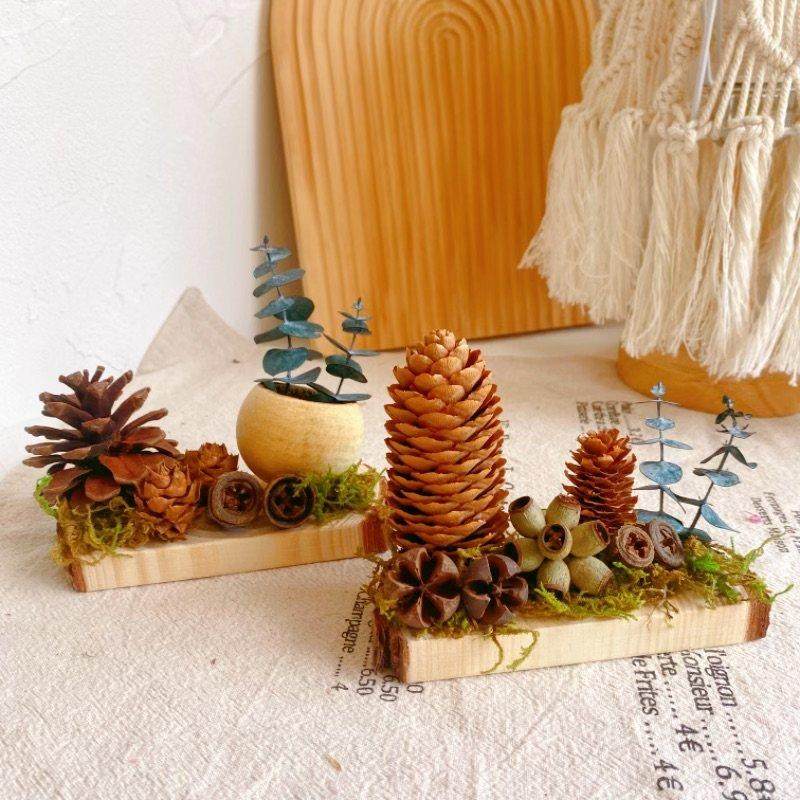 森系松果桌面摆件侘寂风氛围装饰干 干果标本幼儿园环创纯手工diy,家居饰品,桌面摆件,淘宝优惠券,粉丝福利购,淘宝优惠卷