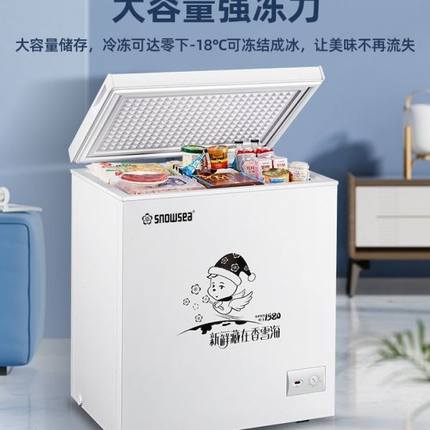 迷你出租房宿舍冷冻大容量香雪海冷柜冰柜家用小型小冷藏立式两用