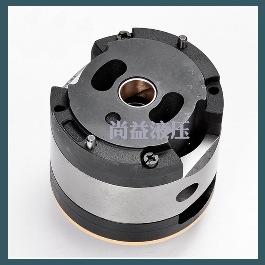 P2系列1现货V2系列V2供应4V2P系列R机 R3V2P系列芯泵注塑配件RPR