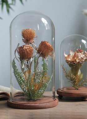 植物标本干花花艺摆件家q居创意花瓶软装样板间书房橱窗展示台陈
