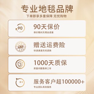 轻奢高级感免洗可擦卧室垫加厚隔音家用客厅地毯 羊毛地毯2024新款