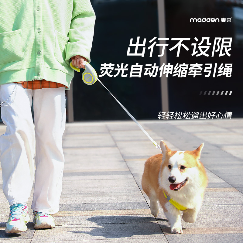 madden牵引绳自动伸缩遛狗绳子小型犬博美泰迪柯基狗狗胸背p链猫
