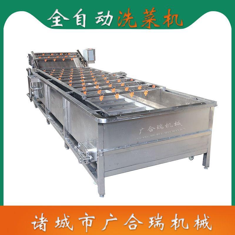厂家直销菌类气泡清洗机西红柿果蔬清洗风干设备全自动洗菜机械