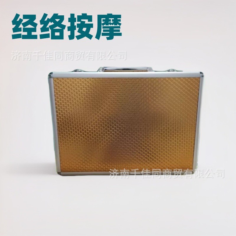 天津兆士中宝DDS经络按摩仪