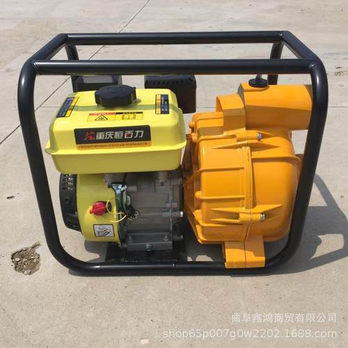 30马力柴油机12寸蜗壳泵自带发电机柴油抽水泵柴油手推抽水泵