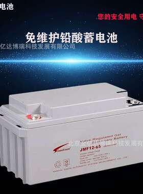 赛能Sinonteam蓄电池JMF12-38防漏酸12V38AH航海浮标照明铁路信号