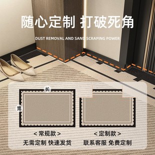 入户门地垫进门地毯高级门口垫子家用门垫轻奢玄关客厅脚垫可定制