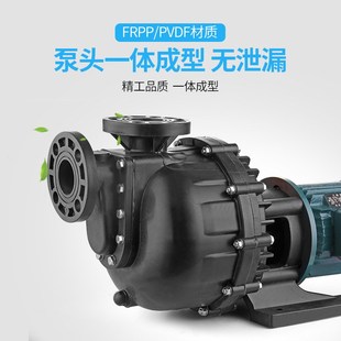 马肚泵塑料化工泵电镀泵耐腐蚀水泵大头泵槽外泵自吸泵变频泵增压