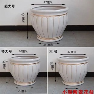 大叶绿萝柱散尾葵夏威夷竹客厅发财树大号特大号超大号陶瓷花盆