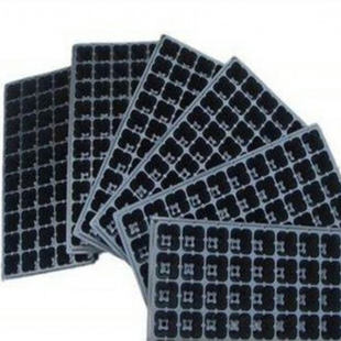 穴盘育苗盘塑料加厚蔬菜营养钵21孔32孔50孔72孔105孔128孔200孔