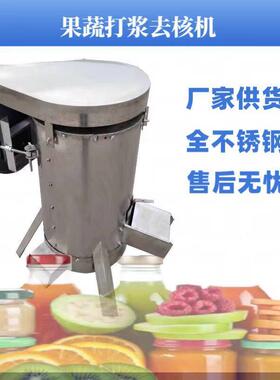 工业大型去核机 油柑果奶枣粉碎去核机 商用白桃打浆脱核机