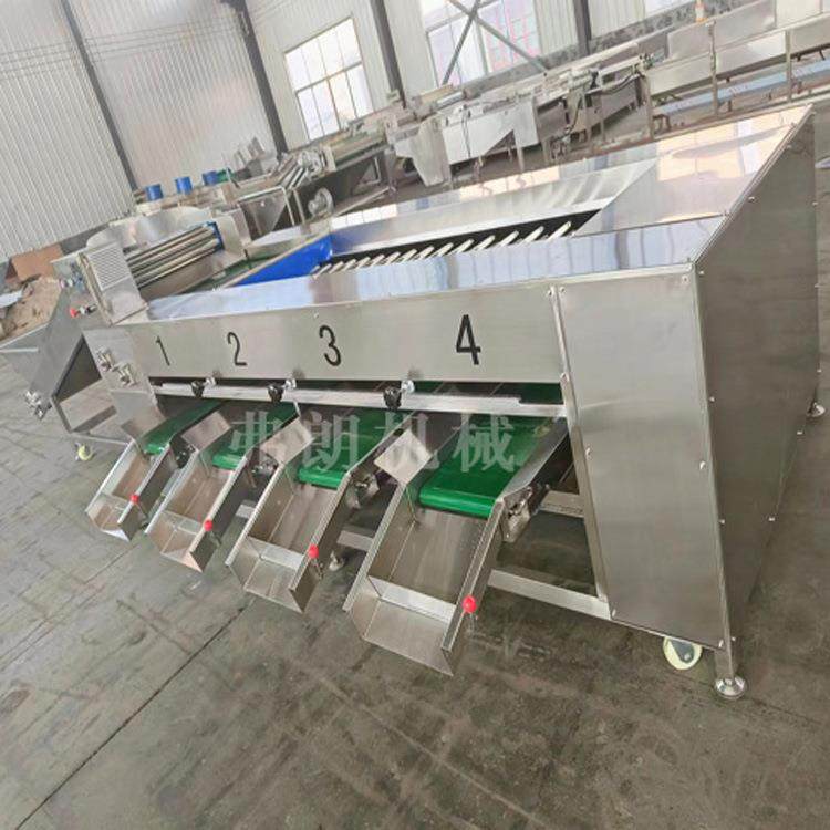 供应大小果挑选分级柠檬分级机百香果分级机橙子桔子分级机,清洗/食品/商业设备,果蔬加工设备,淘宝优惠券,粉丝福利购,淘宝优惠卷