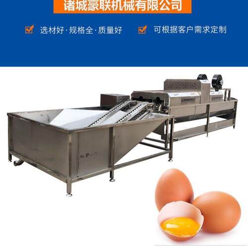 洗蛋机生产厂家 商用全自动洗蛋机 单排双排 产量可定 支持试机