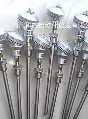 N热电偶WR23-2400铠WRN热电偶-WR220/N/-装铑热电偶铂耐磨