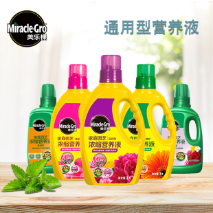 绣球多肉型 美乐棵营养液盆栽植物通用型浓缩液体肥料家用玫瑰月季