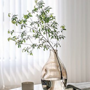 花瓶摆件吊高级径口木大醉插花钟玻璃马小感客厅透明创意水养肚