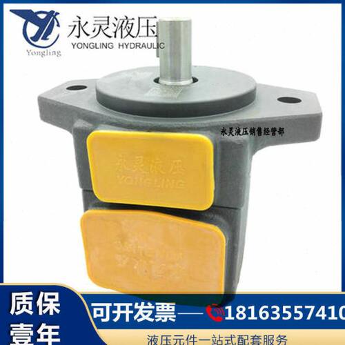 液压E/ Y永灵Y//40/10E16 Y5016 B203B/32825/叶片泵C6/L/0 --/8