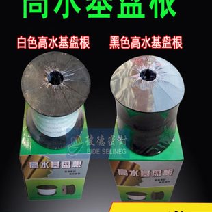 盘根盘根油 浸四氟苎麻填料白色盘根水泵环黑色高耐磨含膨胀水基