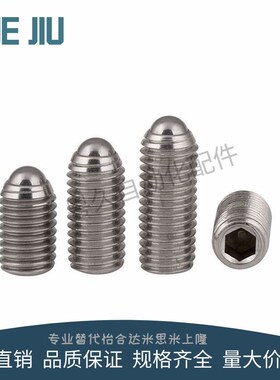 超重载型球头柱塞 BPQ3/4/5/6/8/10/12/16/20