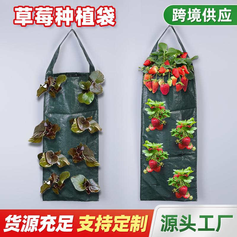 挂壁式简易黑色草莓种植袋 家庭阳台果蔬塑料种植袋 可折叠收纳袋