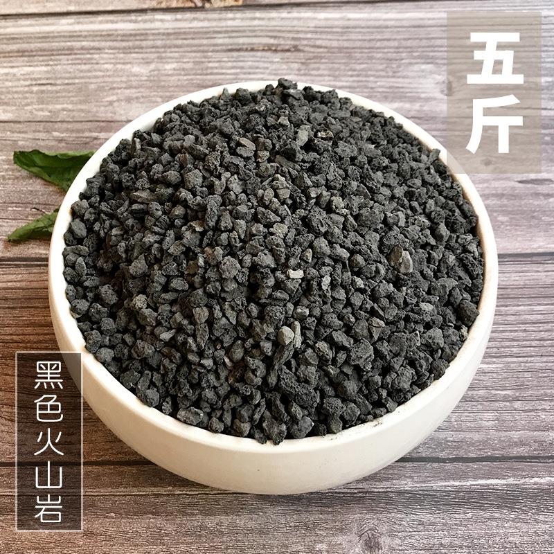 黑色火山岩颗粒多肉植物铺面石火山岩园林花卉水族过滤造景 5斤装