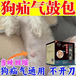狗狗疝气膏贴幼犬老猫咪肚子鼓包硬块专用腹股沟特效疝气脐疝正品