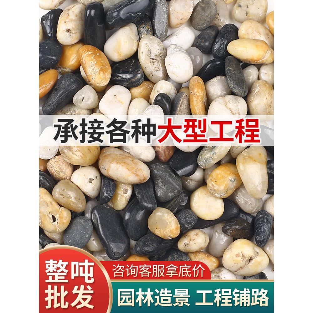 50斤鹅卵石铺地雨花石原石天然五彩黑白石头庭院铺路大小鹅软暖石