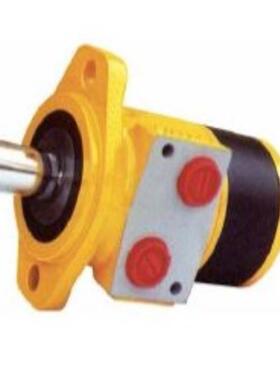 救生艇滚筒液压马达和平衡阀MGLR100 Life Boat Hydrauli Motor