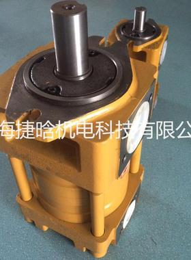 NT PUMP NT5-C250F 单级 低压泵 直线共轭内啮合齿轮泵