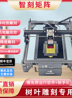 树叶照片雕刻机摆摊激光设备小型全自动打印叶子玻璃打标机叶雕机