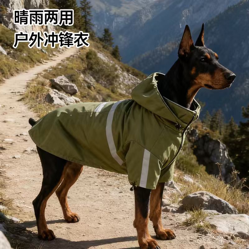 狗狗时尚风超酷晴雨两用冲锋衣图片