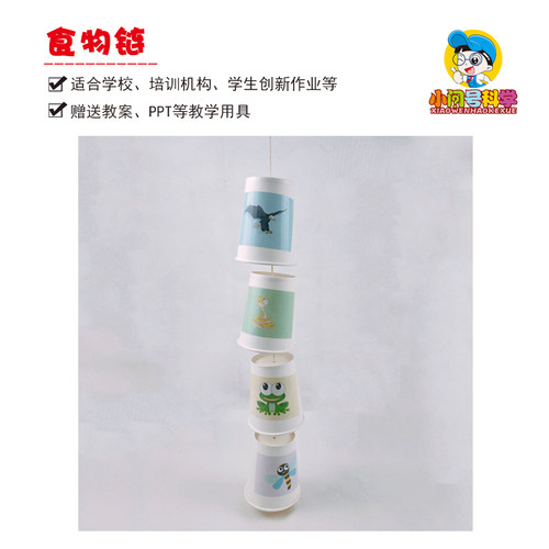 QT食物链动物世界幼小初科学实验器材小问号diy益智教具实验模型