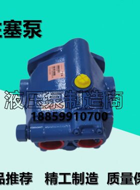 格VG1SS1油泵Q10CA2/20士-/4C/R/S13/SE-SCM21柱--PP10Q塞V伊顿威