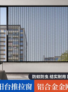 金刚网窗防带锁老鼠合封阳台防盗折叠推拉式铝猫狗窗防蚊隐形伸缩