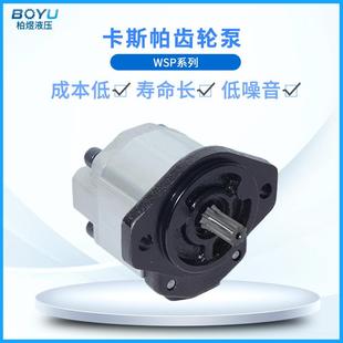 卡斯帕液压齿轮泵农用齿轮泵WSP.10系列可替代国产低噪音齿轮油泵