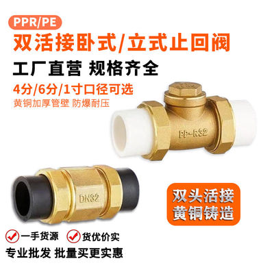 PPRPE黄铜卧式立式热熔止回阀4分6分双活接自来水管单向阀逆止阀
