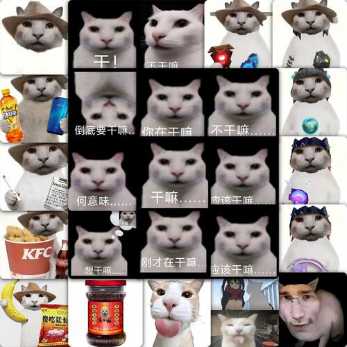 干嘛猫meme贴纸今天有喝可乐吗