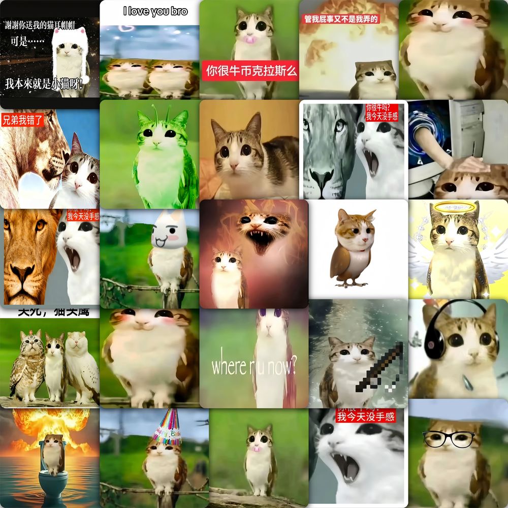 新款猫头鹰小猫贴纸meowl表情包