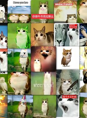 177张新款猫头鹰小猫贴纸meowl表情包搞笑抽象沙雕装饰手机壳贴画