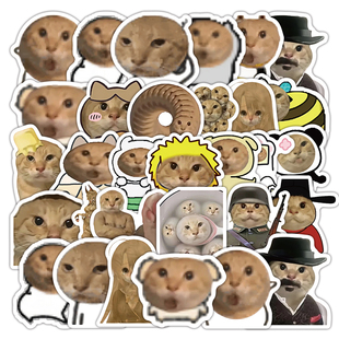 108张爆款沙雕抽象耄耋猫表情包贴纸创意可爱表情包ins装饰桌面贴