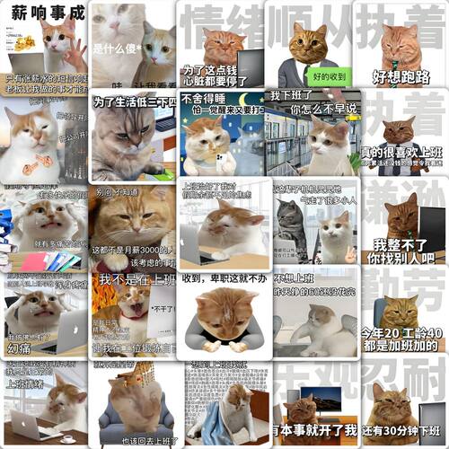 打工喵呜表情包贴纸抽象命苦人