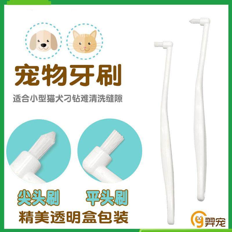 小头单束宠物牙刷 智齿窝沟尖头平头狗狗猫咪口腔清洁护理用品