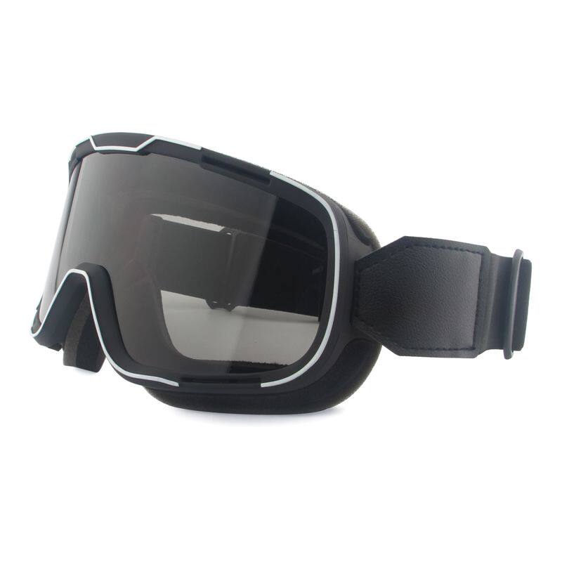 摩托车骑行风镜自行车防风护目镜可戴近视眼镜变色防雾镜日夜两用