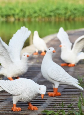 仿真动物雕塑白鸽园林景观小品树脂花园摆件鸽子小区别墅庭院装饰