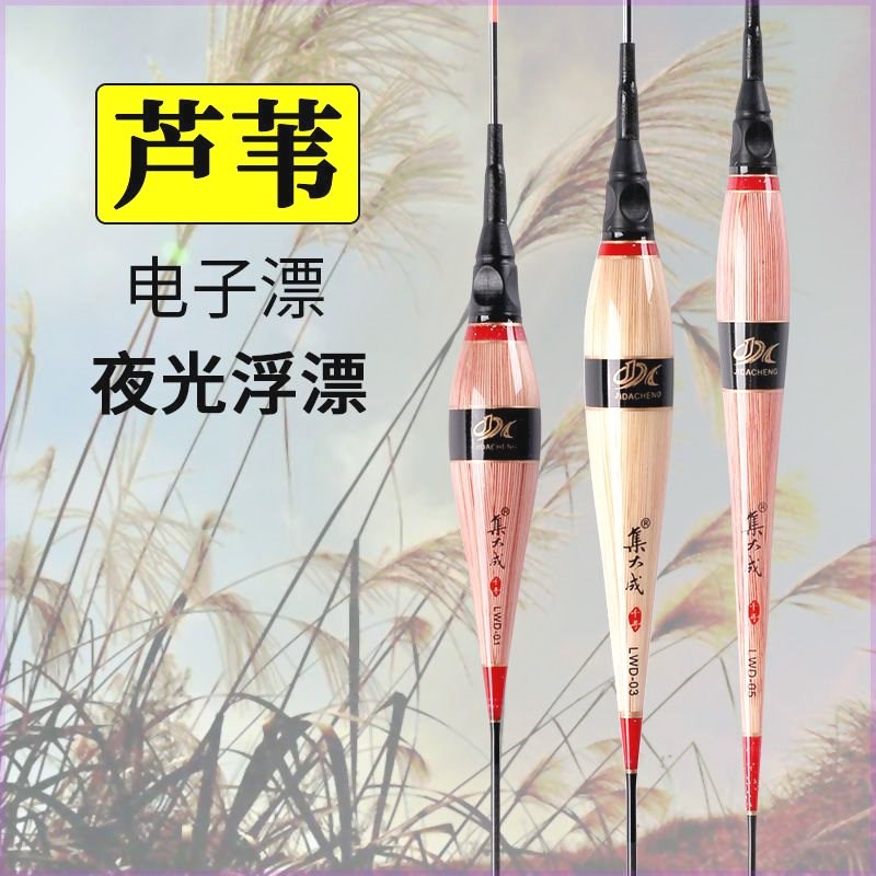 高端芦苇夜光漂咬钩变色高灵敏水无影冷光尾浮漂罗非电子鱼漂