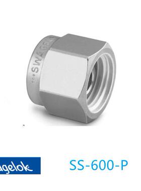 Swagelok世伟洛克(SS-600-P)316用于3/8in.套管接头的堵塞