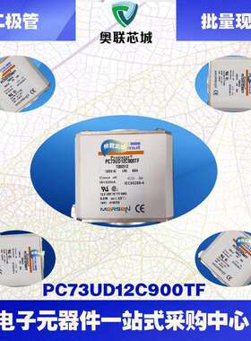 PC73UD13C315TFJ300503PC73UD13C350TFK300504法国罗兰熔断器