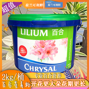 百合营养粉荷兰可利鲜鲜花保鲜剂百合伴侣百合桶百合专用水培剑兰