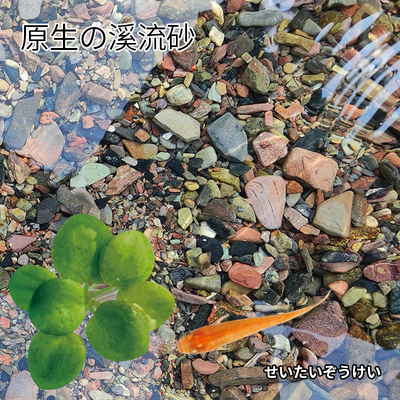 鱼缸乌龟缸生态造景装饰石溪流沙原生缸三湖南美缸水族箱五彩底砂