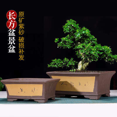 椭圆形长方形紫砂花盆花卉绿植陶瓷盆景专用花盆腰圆老树桩盆景盆